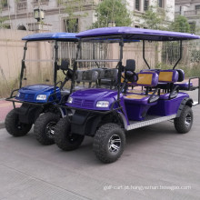 Carro de golfe elétrico poderoso